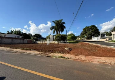 ? Lote De Esquina à Venda - Colônia Dona Luiza