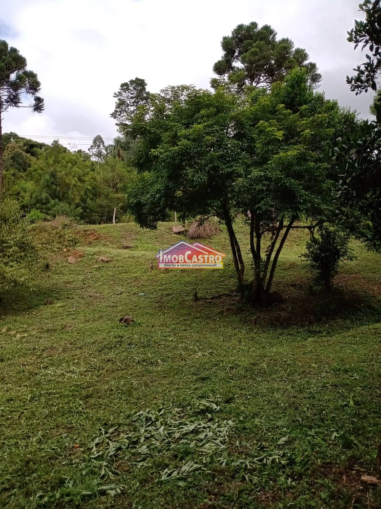 <strong>CHÁCARA EM CASTRO COM 12 MIL M² - SOCAVÃO</strong>