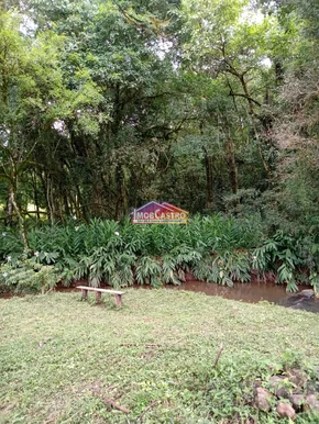 <strong>CHÁCARA EM CASTRO COM 12 MIL M² - SOCAVÃO</strong>