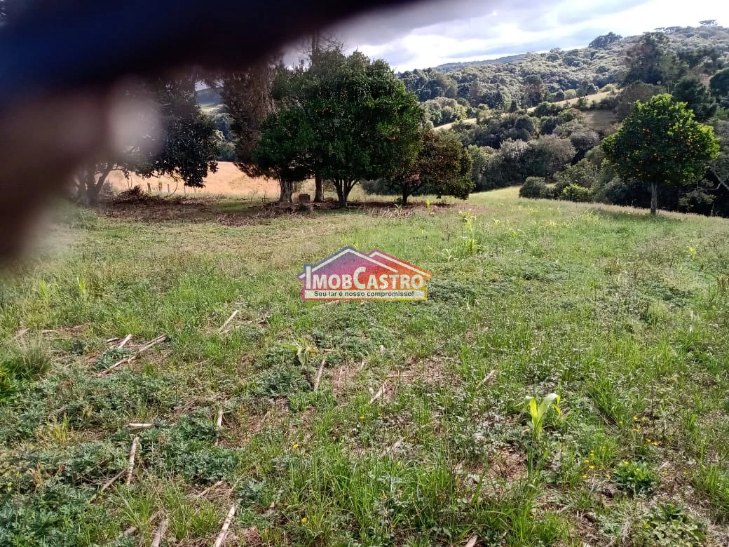 <strong>CHÁCARA DE 2,3 HECTARES EM CASTRO</strong>