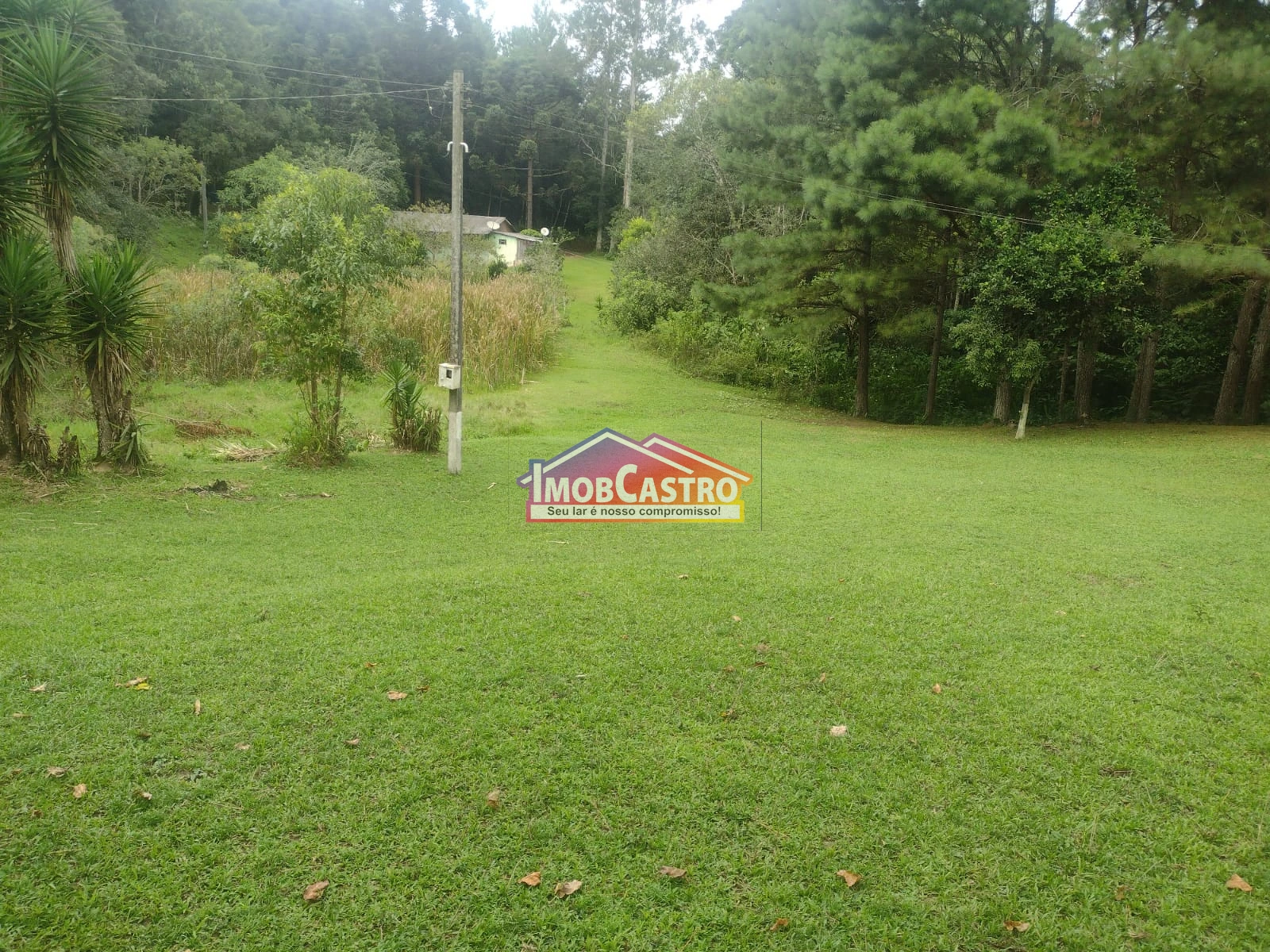 <strong>CHÁCARA COM 1 ALQUEIRE DE TERRAS - ABAPÃ</strong>