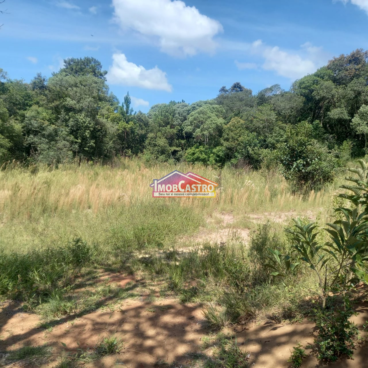 TERRENO DE 4250M² EM EXCELENTE ESTADO - BAIRRO BOM SUCESSO - Foto 1