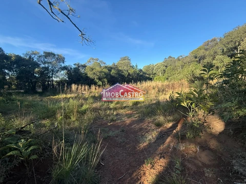 Foto Terreno