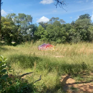 TERRENO DE 4250M² EM EXCELENTE ESTADO - BAIRRO BOM SUCESSO - Foto 2