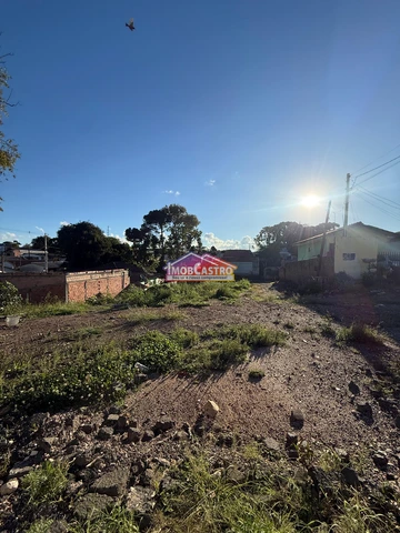 Foto Terreno
