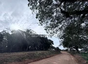 <strong>Rural, Tronco, Castro/PR</strong>