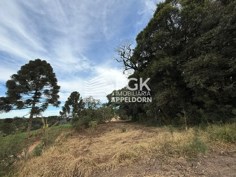 Foto Rural