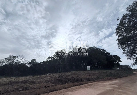 Foto Rural