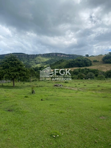 Foto Rural
