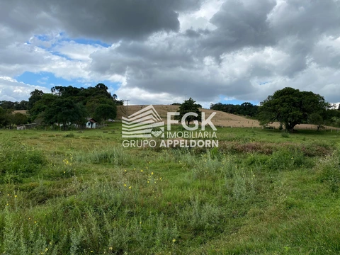 Foto Rural