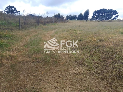 Foto Terreno