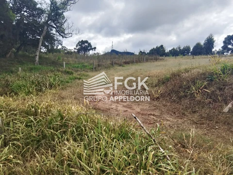 Foto Terreno