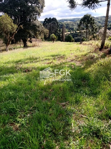 Foto Rural