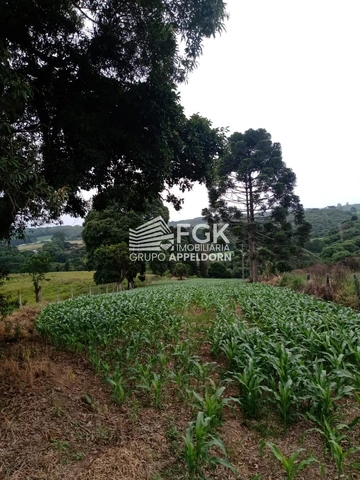 Foto Rural