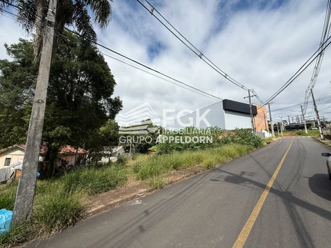 Foto Terreno