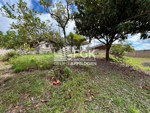 Foto Terreno