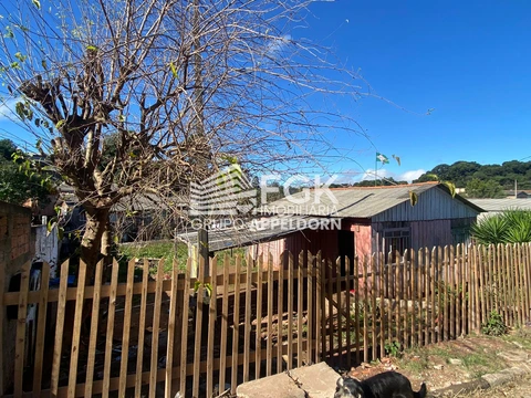 Foto Terreno