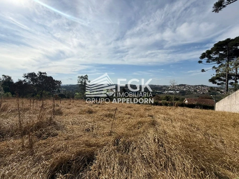 Foto Terreno