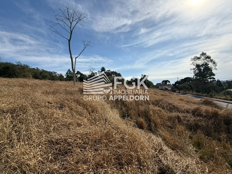 Foto Terreno