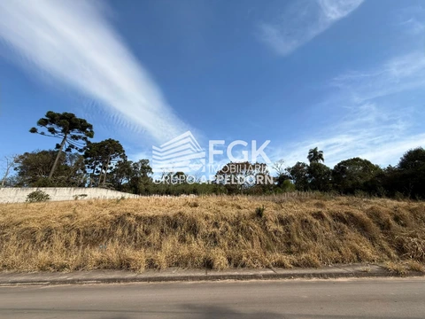 Foto Terreno