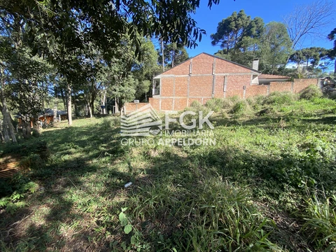 Foto Terreno