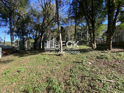 Foto Terreno