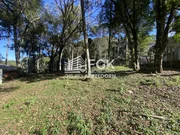 <strong>Terreno, Tronco, Castro/PR</strong>