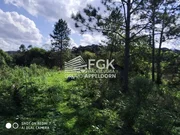 <strong>Chácara, Herval dos Limas, Castro/PR</strong>