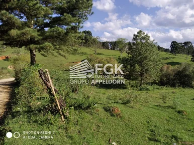 <strong>Chácara, Herval dos Limas, Castro/PR</strong>