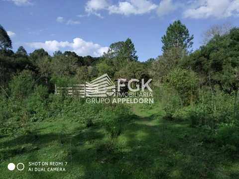 Foto Rural