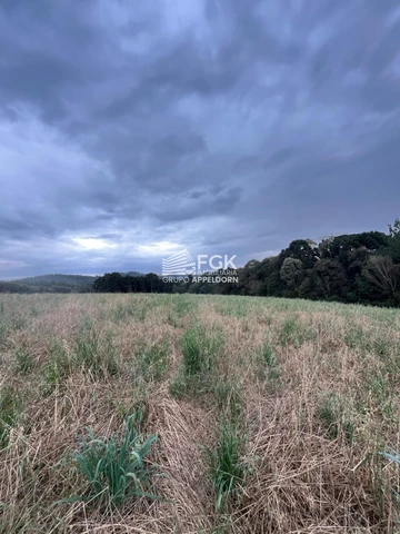 Foto Rural