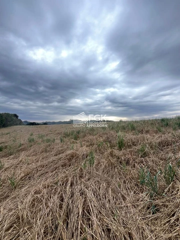Foto Rural