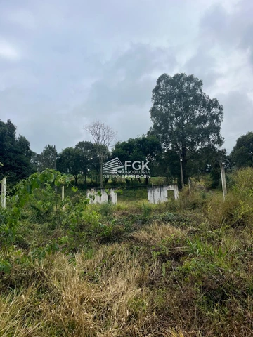 Foto Rural