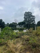 <strong>Sítio, Campo do Cerrado, Piraí do Sul/PR</strong>