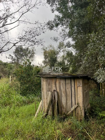 Foto Rural