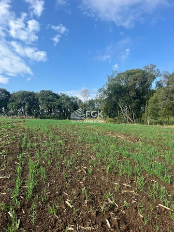 Foto Rural