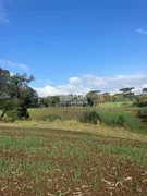<strong>Sítio, Campo do Cerrado, Piraí do Sul/PR</strong>