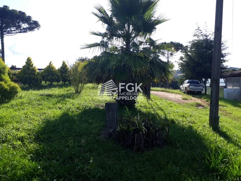Foto Rural
