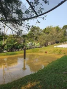 <strong>Chácara, Colônia Santa Leopoldina, Castro/PR</strong>