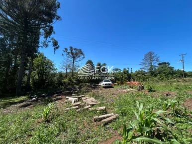 <strong>Chácara, Fundão, Castro/PR</strong>