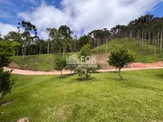 <strong>Chácara, Alecrim, Castro/PR</strong>