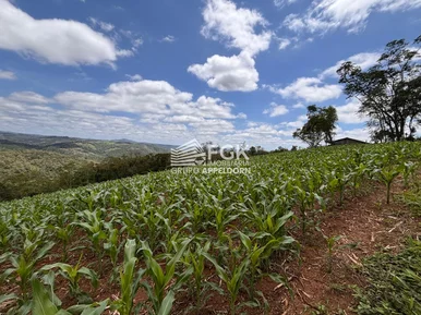 Chácara, Itaiacoca, Ponta Grossa/pr
