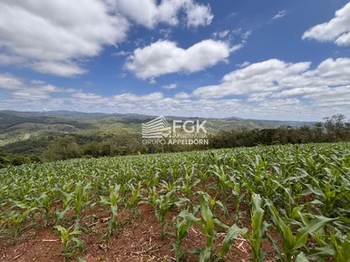 Chácara, Itaiacoca, Ponta Grossa/pr