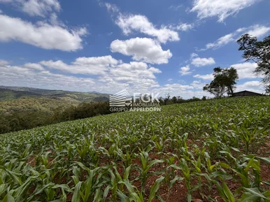 Chácara, Itaiacoca, Ponta Grossa/pr