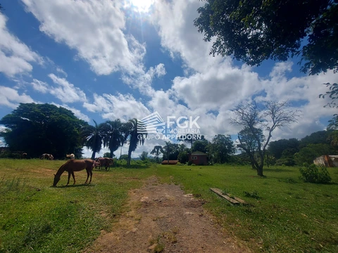 Foto Rural