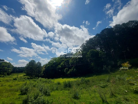 Foto Rural