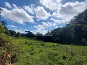 <strong>Sítio, Itaponhacanga, Castro/PR</strong>