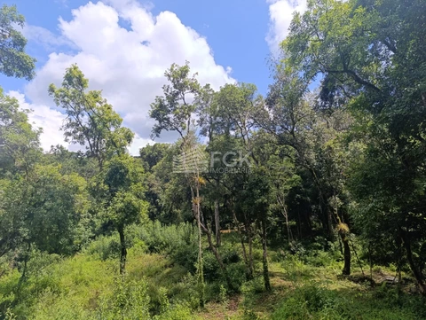 Foto Rural