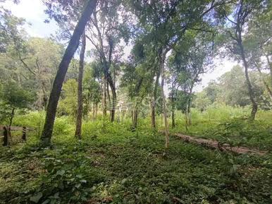 <strong>Chácara, Socavão, Castro/PR</strong>