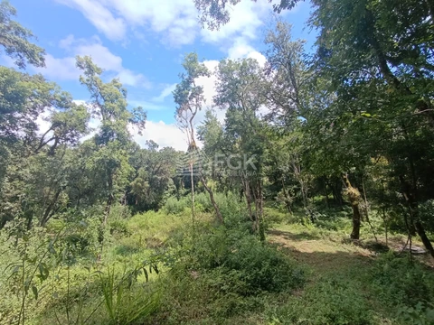 Foto Rural